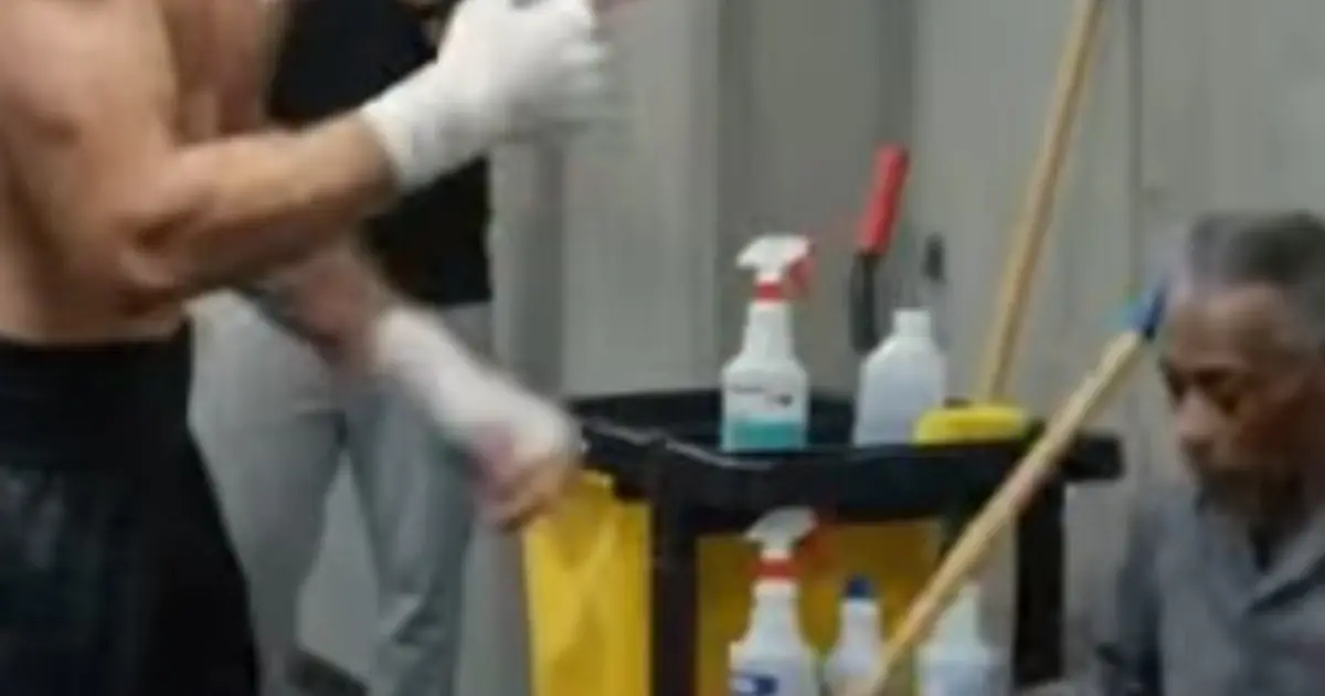 A Young Boxer Humiliated an Elderly Janitor — Then Dared Him to Avoid One Punch